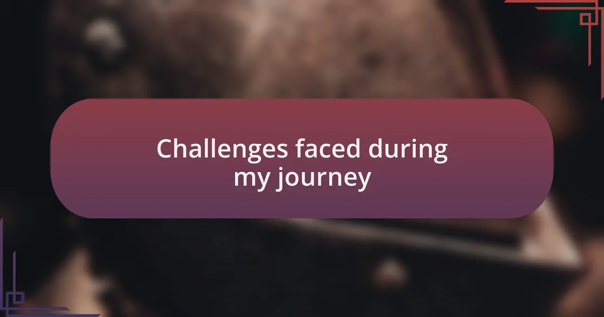 Challenges faced during my journey