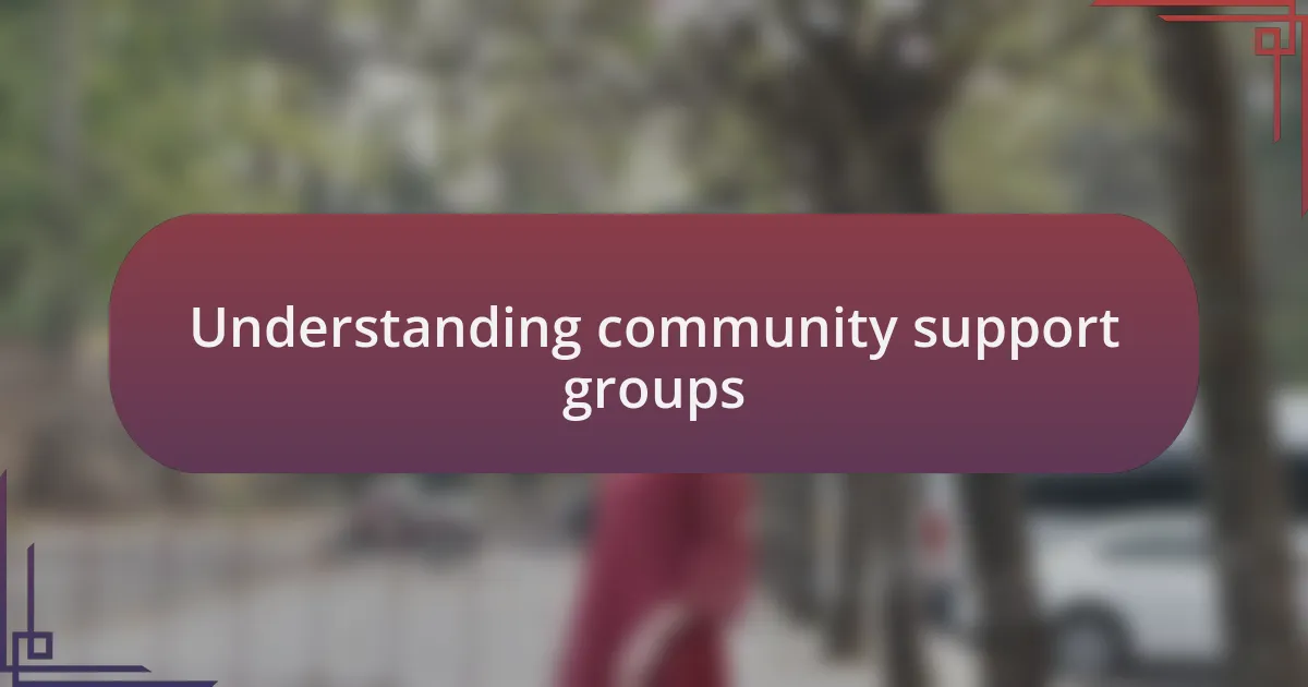Understanding community support groups